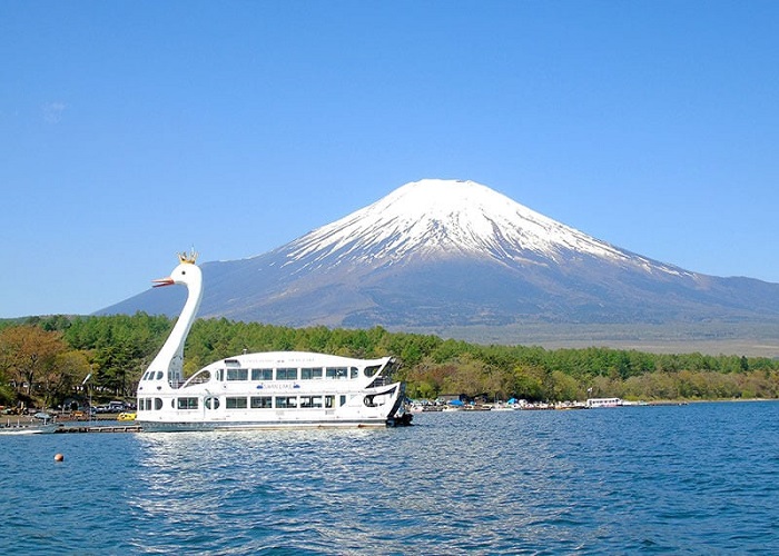 Du lịch Nhật Bản hoa tử đằng, hoa chi anh: HCM - Kobe - Osaka - Kyoto - Yamanashi - Tokyo 6 Ngày, Bay Vietnam Airlines + KS 4*
