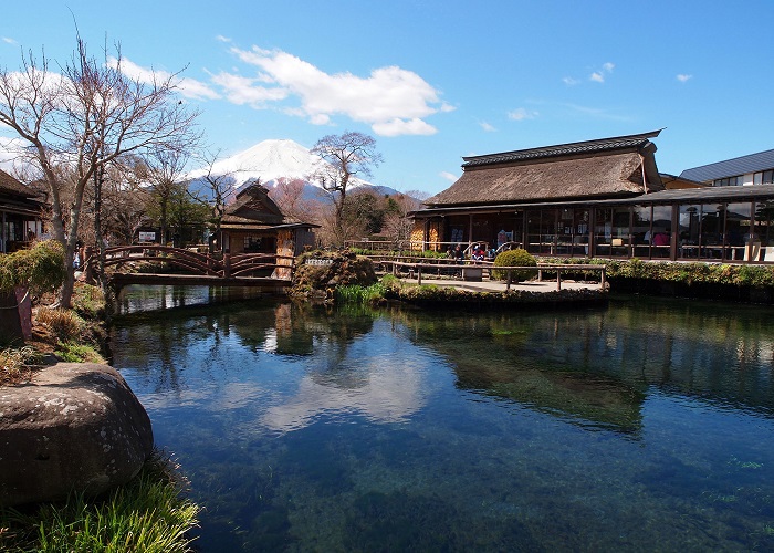 Du lịch Nhật Bản hoa tử đằng, hoa chi anh: HCM - Tokyo - Hakone - Yamanashi - Fuji 5 Ngày, Bay Vietnam Airlines + KS 3,4*
