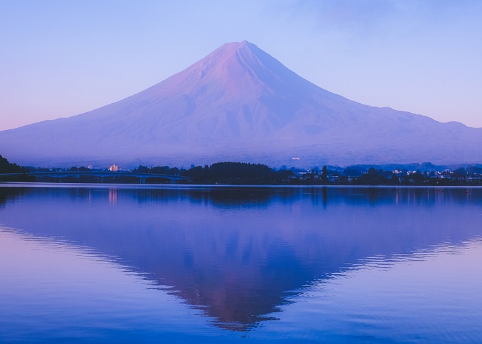 Du lịch Nhật Bản hoa tử đằng, hoa chi anh: HCM - Tokyo - Hakone - Yamanashi - Fuji 5 Ngày, Bay Vietnam Airlines + KS 3,4*