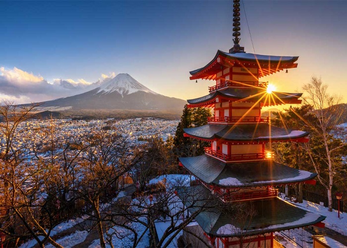 Du lịch Nhật Bản sắc tím hoa tử đằng hoa chi anh: HCM - Kobe - Osaka - Kyoto - Hamamatsu - Yamanashi - Tokyo - Disneyland 7 Ngày, Bay Vietnam Airlines + KS 4*
