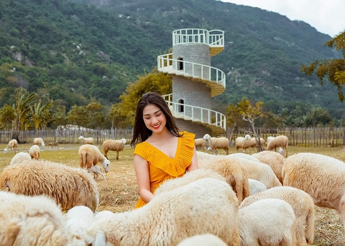 Tour Du Lịch Miền Trung 4N3Đ: Từ Hà Nội - Ninh Thuận - Nha Trang, Bay Vietnam Airlines + KS 5*
