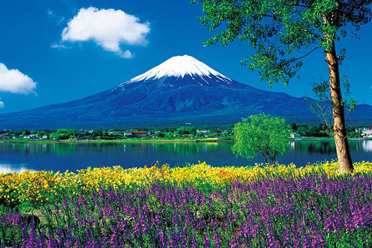 Du Lịch Nhật Bản: Hà Nội - Nara - Osaka - Kyoto - Nagoya - Phú Sĩ - Tokyo 6 Ngày Bay Vietnam Airlines
