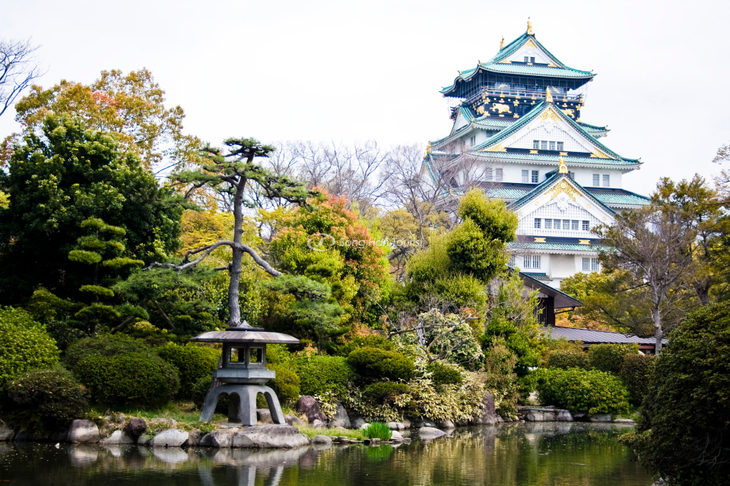 Du Lịch Nhật Bản: Hà Nội - Osaka - Kyoto - Núi Phú Sỹ - Tokyo 6 Ngày Bay Vietnam Airlines
