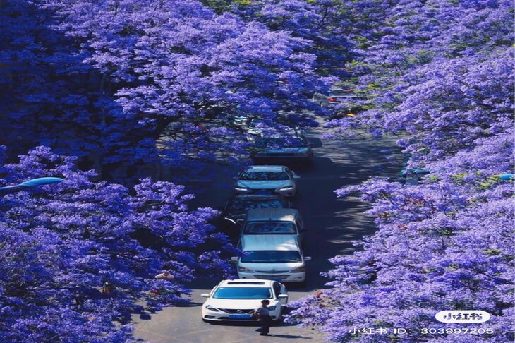 Du Lịch Trung Quốc: Hà Nội - Hà Khẩu - Đại Lý - Côn Minh 4 Ngày Đi Ô tô + Tàu cao tốc