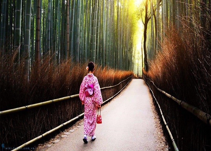 Du Lịch Nhật Bản: HCM - Kobe - Osaka - Kyoto - Yamanashi - Tokyo 6 Ngày, Bay Vietnam Airlines + KS 3,4*