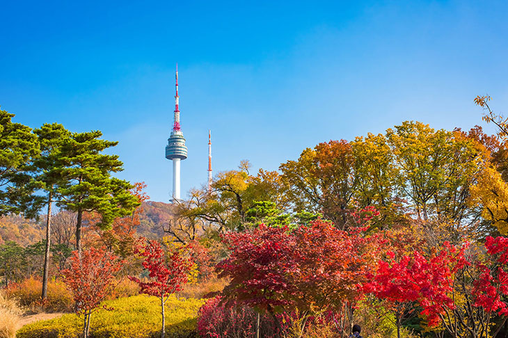 Du lịch Hàn Quốc Mùa Thu Vàng: Hà Nội - Seoul - Nami - Everland 5 Ngày Bay Vietjet Air