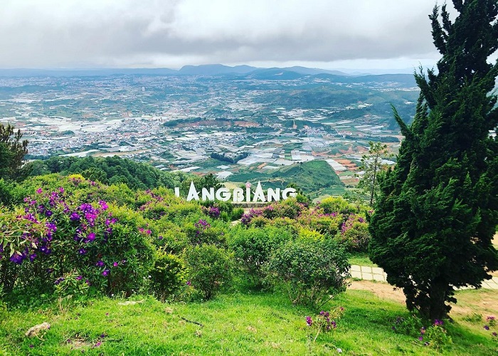 Du Lịch Đà Lạt: Đà Nẵng - Đà Lạt 3 Ngày, Bay Vietnam Airlines & Vietjet Air + KS 3*