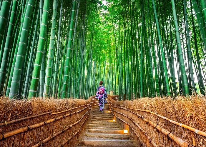 Du Lịch Nhật Bản: Đà Nẵng - HCM - Kobe - Kyoto - Osaka - Nagoya 5 Ngày, Bay Vietnam Airlines + KS 3-4*