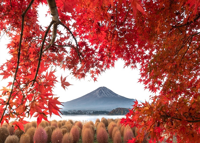 Du Lịch Nhật Bản: HCM - Narita - Tokyo - Yamasashi - Nagoya - Kyoto - Osaka 6 Ngày, khám phá cung đường vàng, Bay Vietjet Air + KS 3,4*