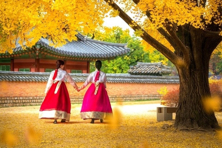 Du Lịch Hàn Quốc Mùa Thu: Hà Nội - Seoul - Nami - Everland - Hái Táo 5 Ngày Bay Vietnam Airlines 