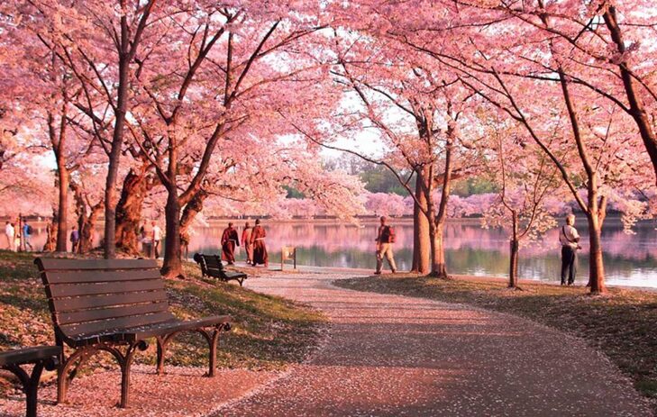 Du lịch Mỹ khai xuân 2025: Hà Nội  - New York - Philadelphia - Delaware - Washington DC - Las Vegas - Grand Canyon (Đại Vực) - Los Angeles - Universal Studio - San Diego 10 Ngày Bay Eva Airlines