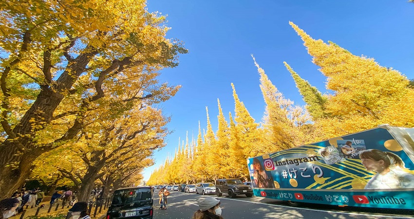 Tour du lịch Nhật Bản 6 ngày 5 đêm: HCM - Tokyo - Yamanashi - Kyoto - Osaka - Kansai, Bay Vietjet Air + KS 3,4* Khám phá mùa thu