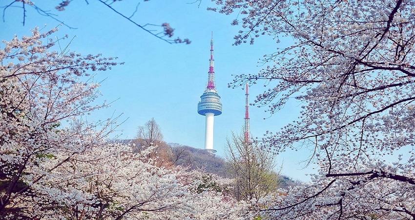 Du Lịch Hàn Quốc: HCM - Seoul - Nami - Everland - Painter Show 5 Ngày, Khám phá mùa xuân, Bay Vietjet Air + KS 4*