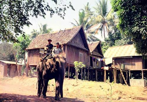 Du lịch Buôn Mê Thuột: Buôn Mê Thuột - Làng cafe Trung Nguyên - Hồ Lăk - Bảo tàng Đăk Lăk 1 Ngày