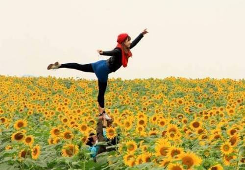 Du Lịch Hà Nội - Đồi Hoa Hướng Dương Nghĩa Đàn Nghệ An 1 Ngày