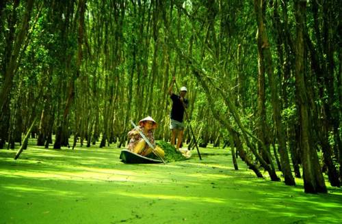 Tour Du Lịch Miền Tây 4N3Đ: Từ Hà Nội - Cần Thơ - Cao Lãnh - Châu Đốc - An Giang, Bay VN