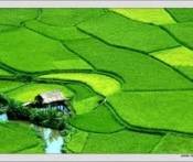 Du lịch Mai Châu - Mộc Châu 2 Ngày