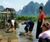 Du Lịch Mai Châu - Bản Lác 1 Ngày