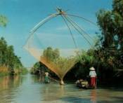 Du Lịch Miền Tây - Đồng Bằng Sông Cửu Long 4 Ngày
