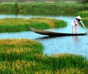 Du lịch 12 tỉnh ĐBSCL Cà Mau 6 Ngày