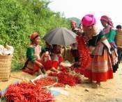Du Lịch Sapa: Sài Gòn - Hà Nội - Sapa - Cát Cát - Hàm Rồng - Bằng Tàu 3 Ngày