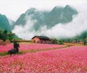 Du Lịch Hà Giang - Cao Nguyên Đồng Văn - Lũng Cú 3 Ngày