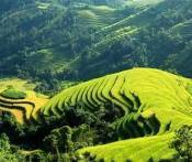 Du Lịch Xuyên Việt: Sài Gòn - Hội An - Đà Nẵng - Huế - Hà Nội - Ninh Bình - Quảng Ninh - Sapa 16 Ngày