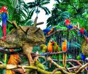 Du Lịch Singapore - Malaysia - Indonesia 4 Ngày