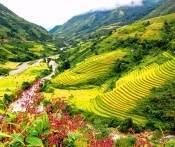 Du Lịch Sapa: Đà Nẵng - Hà Nội - Sapa - Cát Cát - Hàm Rồng - Thác Bạc 4 Ngày