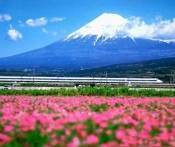 Du Lịch Nhật Bản: Đà Nẵng - Narita - Tokyo - Nagoya - Kyoto - Osaka 5 Ngày