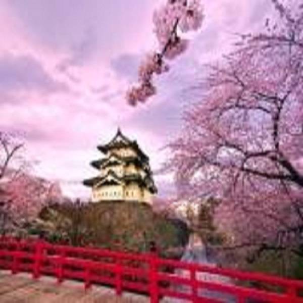 Du lịch Nhật Bản: Tp.Hồ Chí Minh - Tokyo - Hitachi - Hakone - Fuji - Narita 5 Ngày