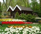 Du lịch Châu Âu: Tp.Hồ Chí Minh - Hà Lan - Bỉ - Luxembourg - Pháp 7 Ngày