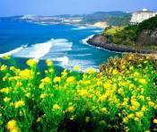 Tour Du Lịch Hàn Quốc: Đà Nẵng - Khám Phá Thiên Đường Jeju 5 Ngày