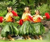 Du lịch Hawaii: HCM - Khám Phá Thiên Đường Hawaii 5 Ngày