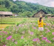 Du Lịch Sapa: Huế - Hà Nội - Sapa - Cát Cát - Hàm Rồng 4 Ngày