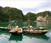 Du Lịch Cát Bà: Hà Nội - Vịnh Lan Hạ - Thị Trấn Cát Bà 3 Ngày