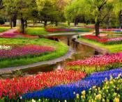 Du Lịch Nhật Bản: HCM - Tokyo - Hakone - Núi Phú Sỹ 6 Ngày