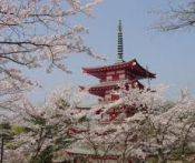 Du Lịch Nhật Bản: Hà Nội - Tokyo - Núi Phú Sỹ - Nagoya - Kyoto - Osaka 7 Ngày