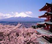 Du Lịch Nhật Bản: Hà Nội - Tokyo - Disneyland - Núi Phú Sỹ - Kyoto - Osaka - Universal Studio 7 Ngày