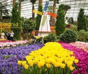 Tour Singapore - Malaysia 6 Ngày Từ TP.HCM Giá Rẻ Trọn Gói