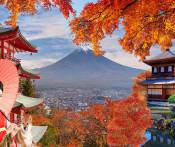 HCM - Fukushima - Tochigi - Saitama - Tokyo 6N Bay VN Trọn Gói