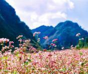 Du Lịch Hà Giang: Đà Nẵng - Hà Nội - Hà Giang - Yên Minh - Lũng Cú - Đồng Văn - Mèo Vạc 3 Ngày