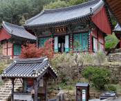Du Lịch Hàn Quốc: Đà Nẵng - Seoul - Nami - City Tour - Everland 5N
