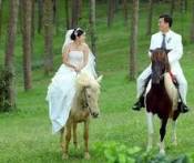 Du Lịch Tuần Trăng Mật: Sài gòn - Nha Trang - Mũi Né 8 Ngày