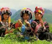 Du Lịch Sơn La - Điện Biên Phủ 4 Ngày