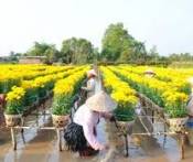 Du lịch Miền Tây: Sài Gòn - Thoại Sơn - Núi Cầm - Châu Đốc - Sa Đéc - Tiền Giang - Sài Gòn 2 Ngày