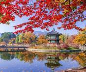 Du lịch Hàn Quốc: Hải Phòng - Hà Nội - Seoul - Nami - Everland 5 Ngày Bay VietJet Air