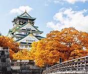 Du Lịch Nhật Bản: Hải Phòng - Hà Nội - Tokyo - Núi Phú Sỹ - Kyoto - Osaka 6 Ngày Bay Vietnam Airlines