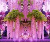 Du Lịch Nhật Bản: Hà Nội - Tokyo - Hokkaido - Công Viên Hoa Tử Đằng 6 Ngày Bay Japan Airlines