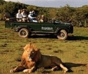 Du Lịch Kenya: Hà Nội - Nairobi - Aberdares - Nakuru - Masai Mara 8 Ngày